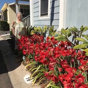 Meet your Posher, Vera